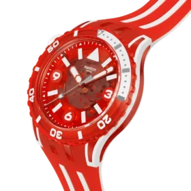 Lion’s Mane