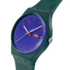 Pattern Formation